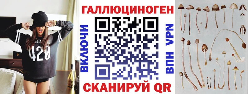 купить наркоту  Буинск  Псилоцибиновые грибы прущие грибы 