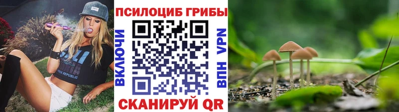 Галлюциногенные грибы GOLDEN TEACHER Буинск